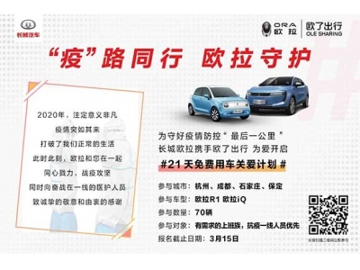 背靠長城汽車的歐拉，市場又如何呢